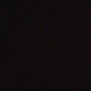 Meet your Posher, Riley